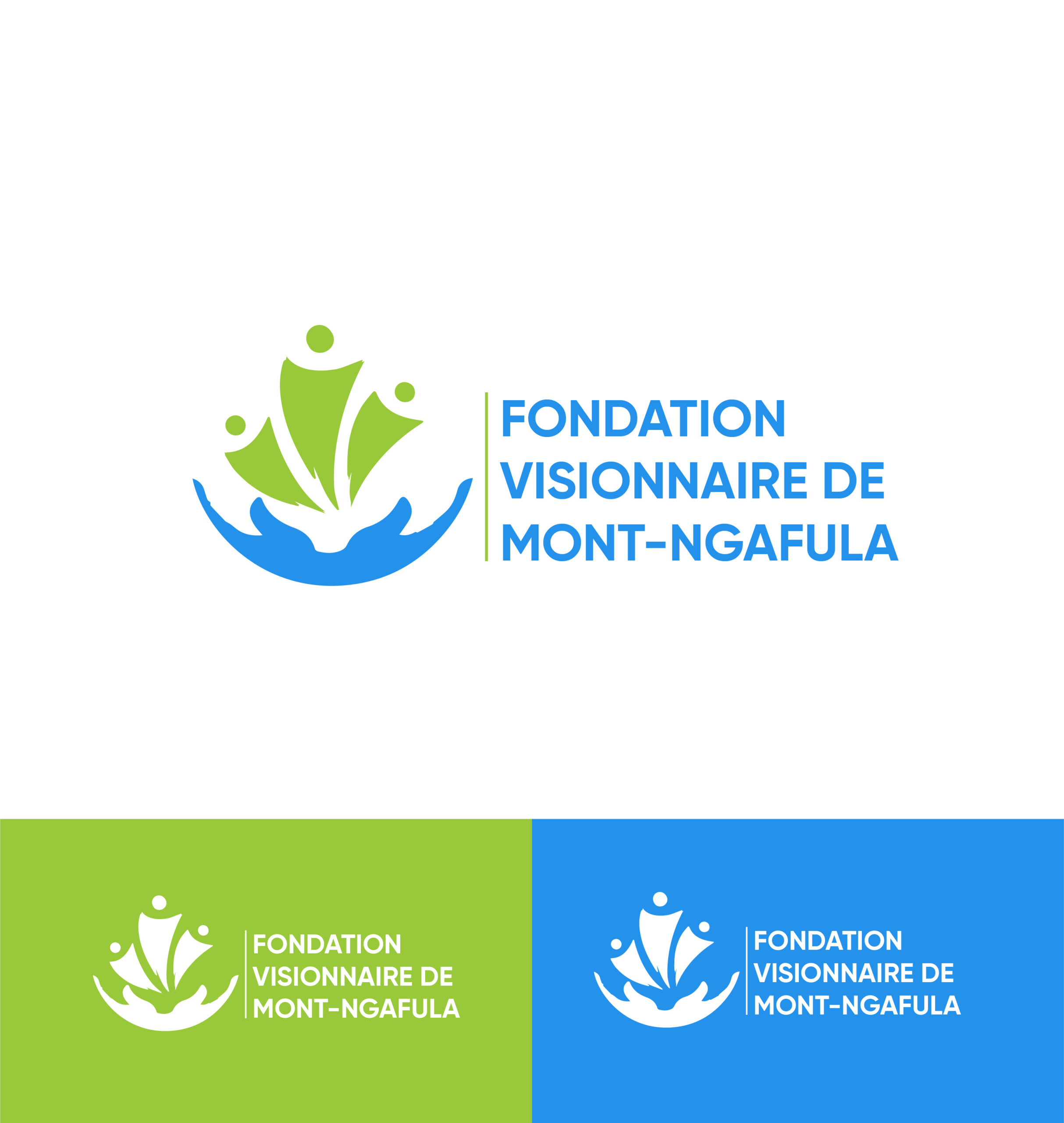 LOGO FVM-01