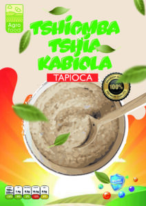 TSHOMBA TSHIA KABIOLA_Plan de travail 1